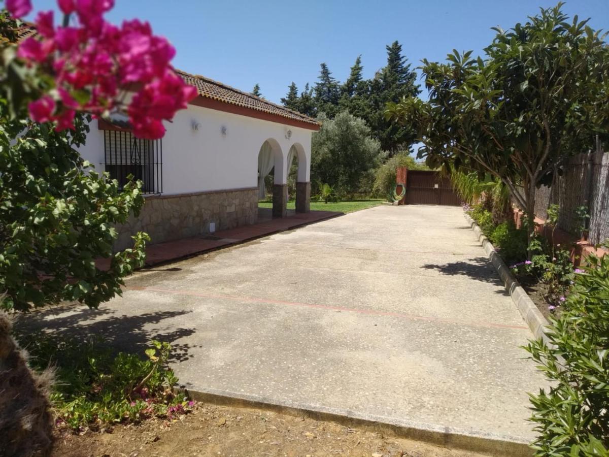 Casa Rural El Laurel Con Piscina Privada コニル・デ・ラ・フロンテラ エクステリア 写真